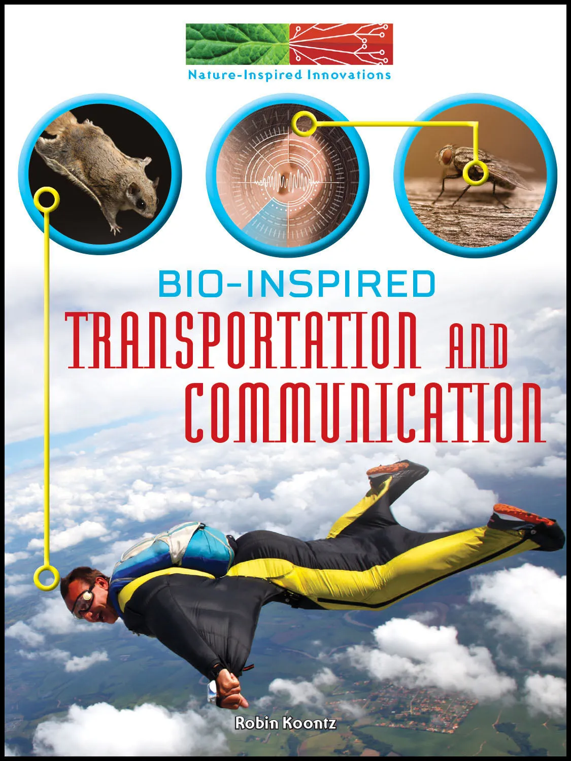 2019 - Bio-Inspired Transportation and Communication (Hardback)