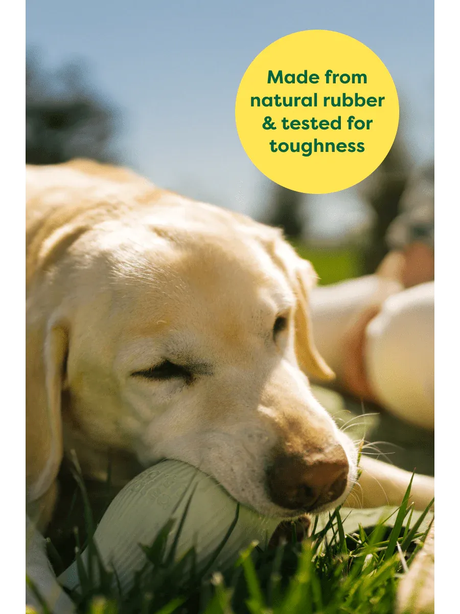 Earth Rated - Treat Toy