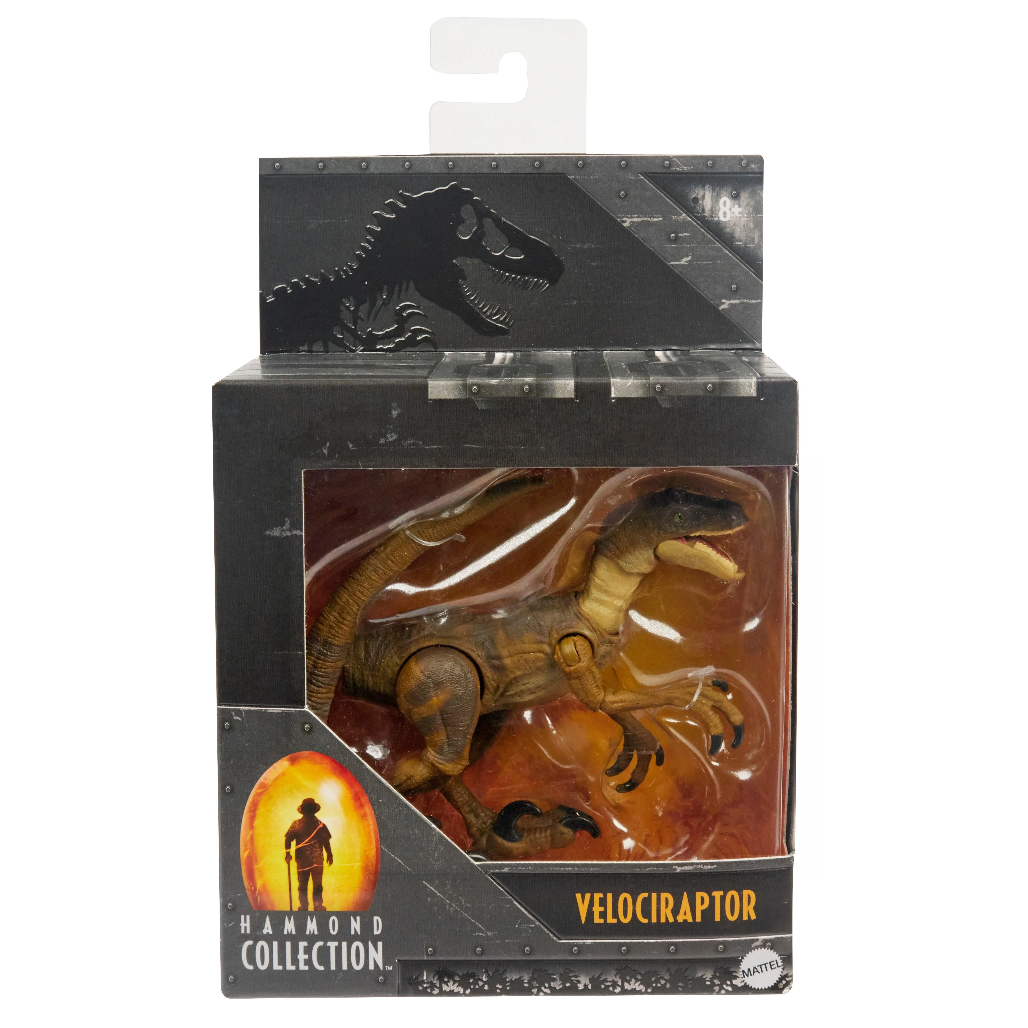 Jurassic World Hammond Collection Velociraptor Dinosaur Figure for Ages 8 
