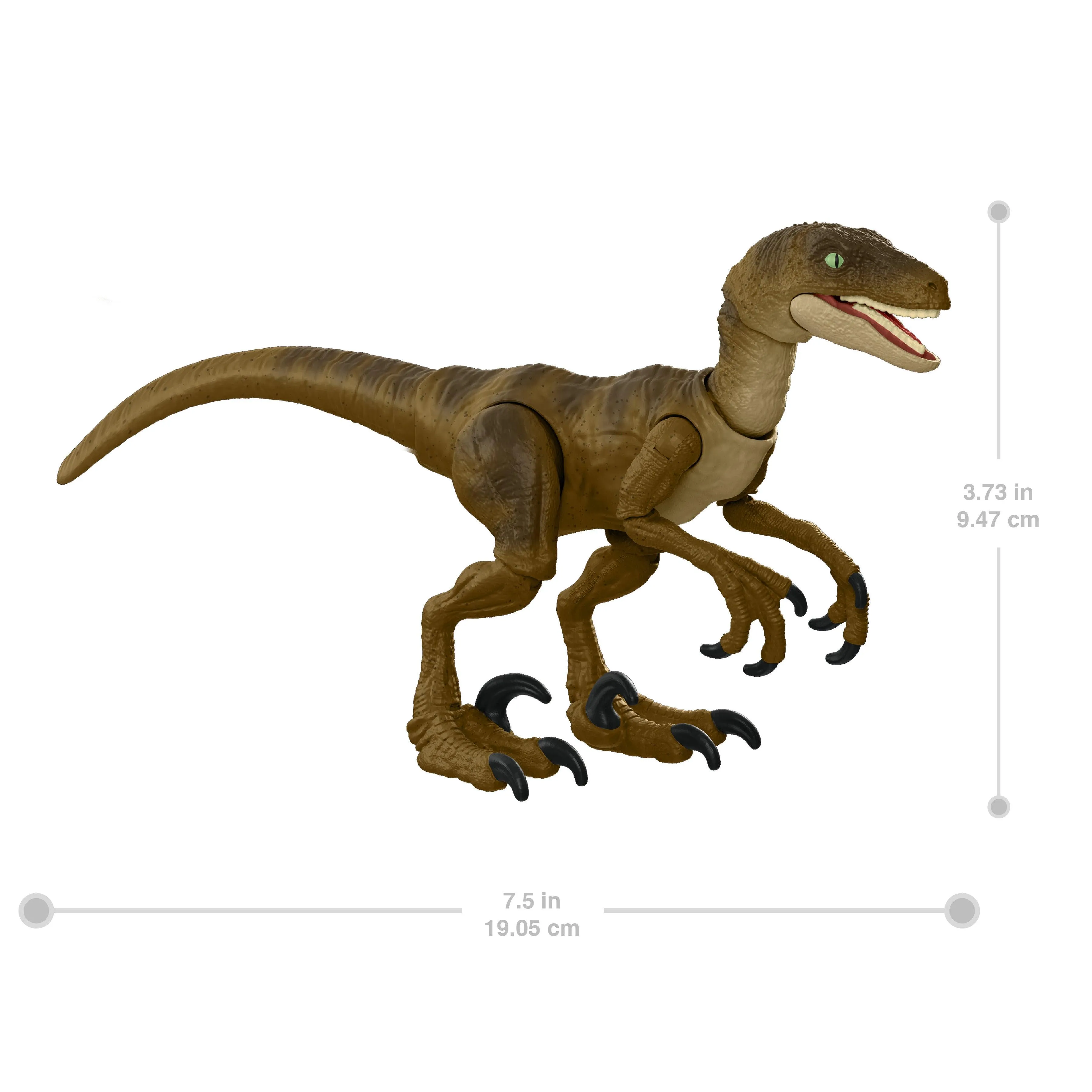Jurassic World Hammond Collection Velociraptor Dinosaur Figure for Ages 8 