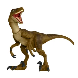 Jurassic World Hammond Collection Velociraptor Dinosaur Figure for Ages 8 