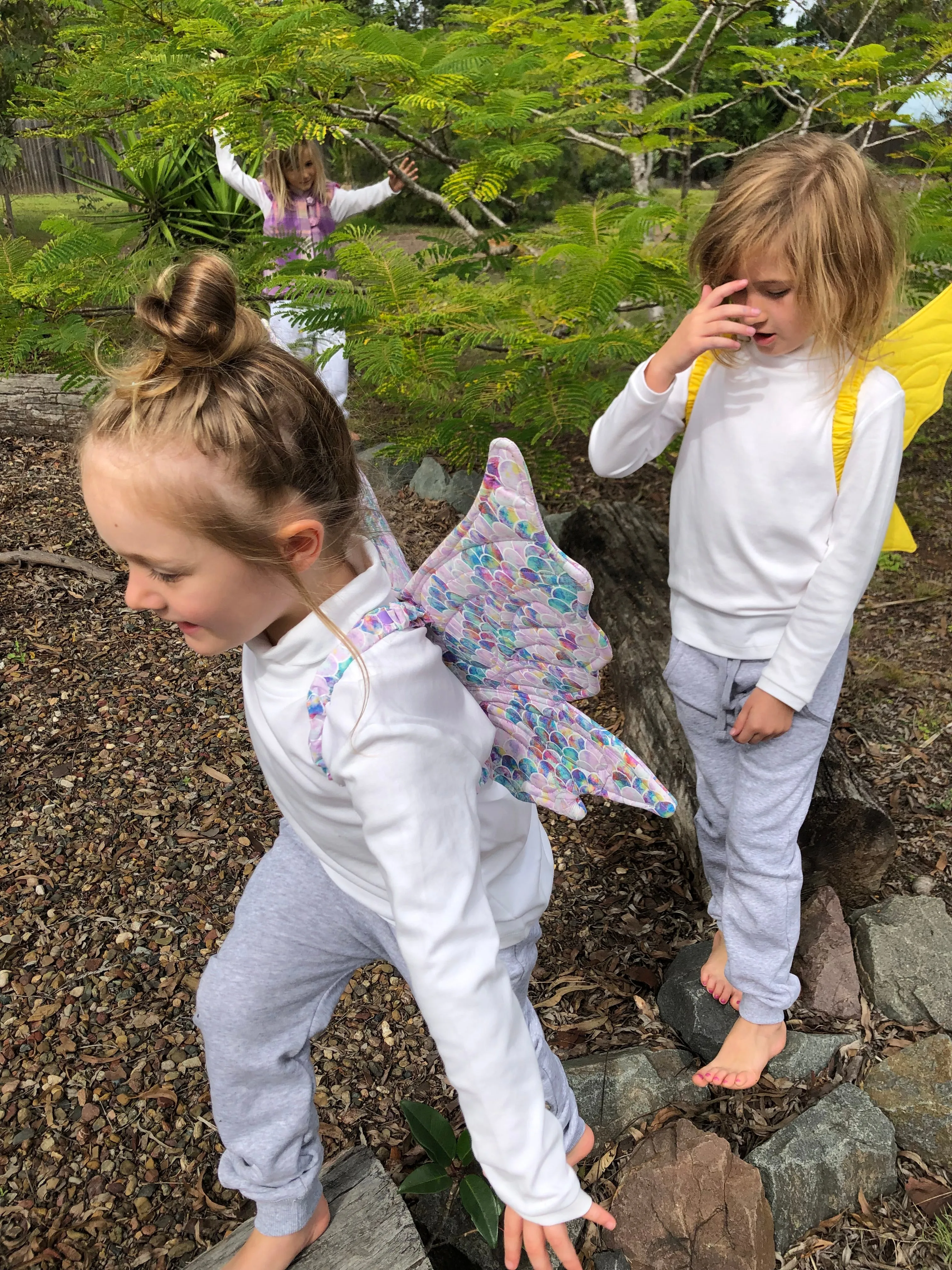 Magical Glittery Fairy Wings size M (4-10yrs)