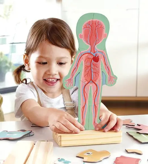 Magnetic Human Body Wooden Puzzle