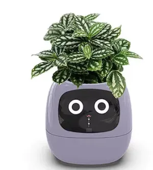 Pink Tuya Smart Planter with AI